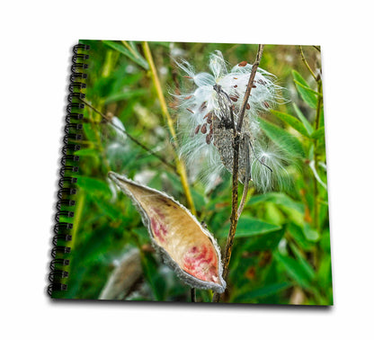 3dRose Boehm Photography Plant - Milkweed Plant and Seed Pods - Drawing Books (db_357283)