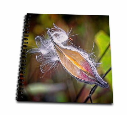 3dRose Boehm Photography Plant - Milkweed in Autumn - Drawing Books (db-361539)