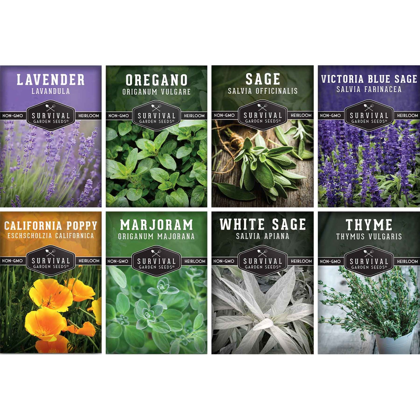 Drought-Tolerant Herb & Flower Seed Kit – 8 Full-Sun, Xeriscape-Friendly Varieties for Low-Water Gardens