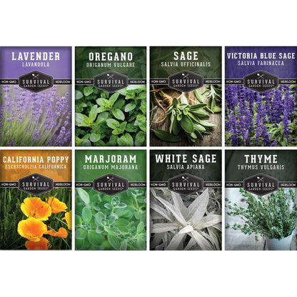 Drought-Tolerant Herb & Flower Seed Kit – 8 Full-Sun, Xeriscape-Friendly Varieties for Low-Water Gardens