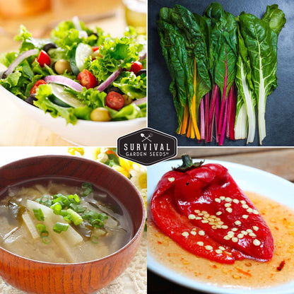 Easy-to-Grow Seed Collection – Beginner-Friendly Vegetables & Herbs for Quick, Reliable Harvests