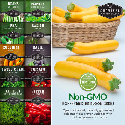 Easy-to-Grow Seed Collection – Beginner-Friendly Vegetables & Herbs for Quick, Reliable Harvests