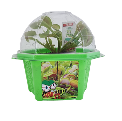 Fred 'The Ferocious' Flytrap Micro Dome Terrarium