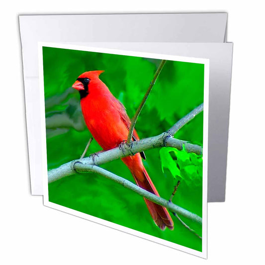 3dRose Birds - Red Cardinal - Greeting Cards (gc_3121)