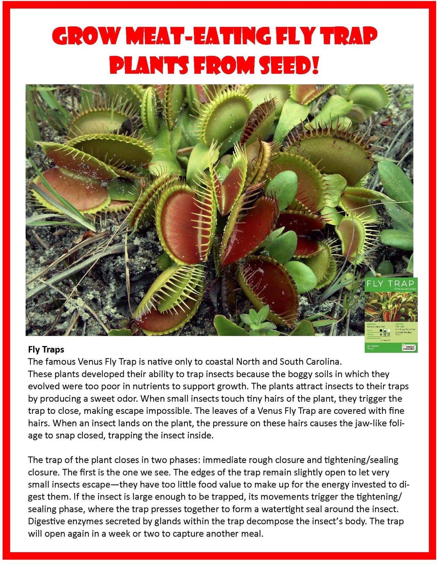 Flytrap Garden Glass Terrarium Seed Starting Kit