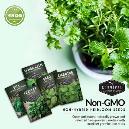 Herb Seeds Variety Pack – 5 Essential Culinary Herbs for Indoor or Outdoor Growing (Basil, Cilantro, Dill, Parsley & Lemon Balm) – Heirloom Non-GMO Garden Starter Kit