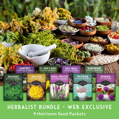 Herbalist Bundle – 9-Varieties of Heirloom Perennial & Biennial Healing Plants for Advanced Apothecary Gardens