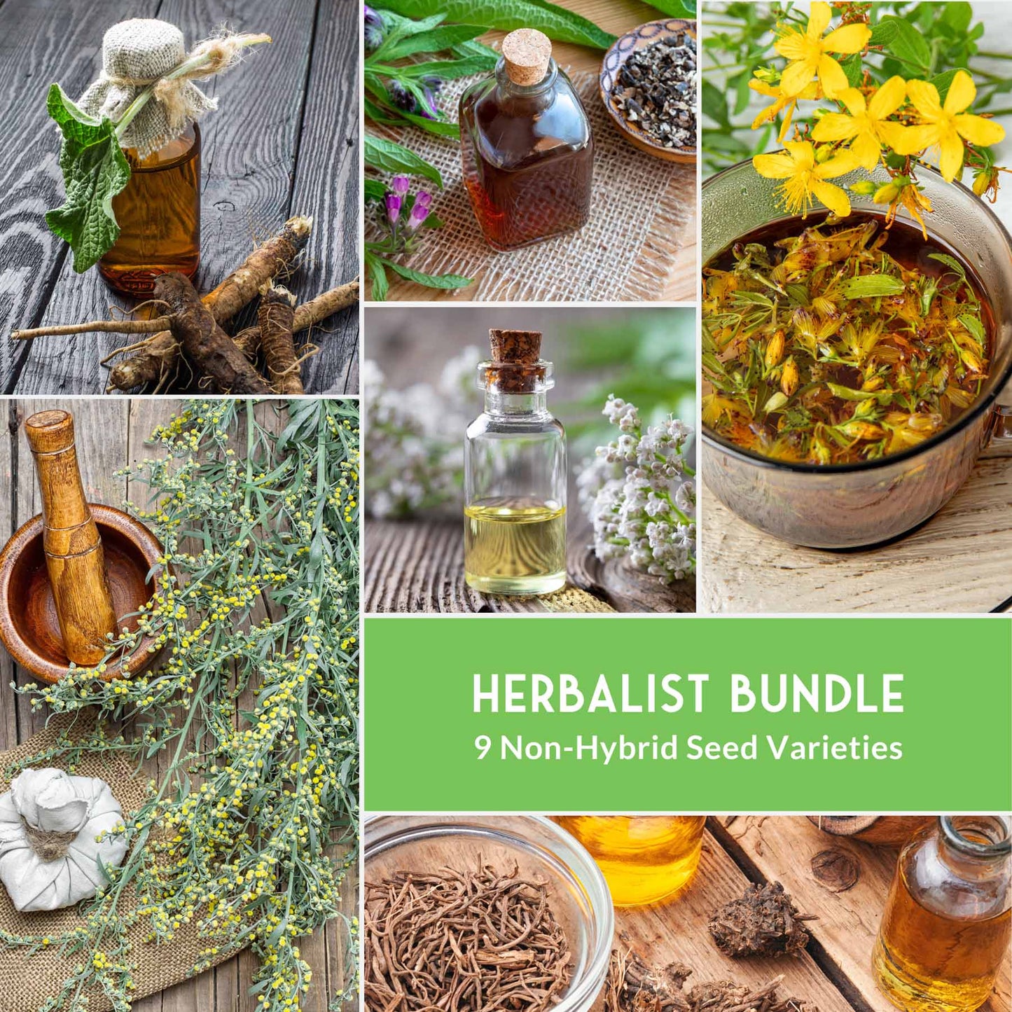 Herbalist Bundle – 9-Varieties of Heirloom Perennial & Biennial Healing Plants for Advanced Apothecary Gardens