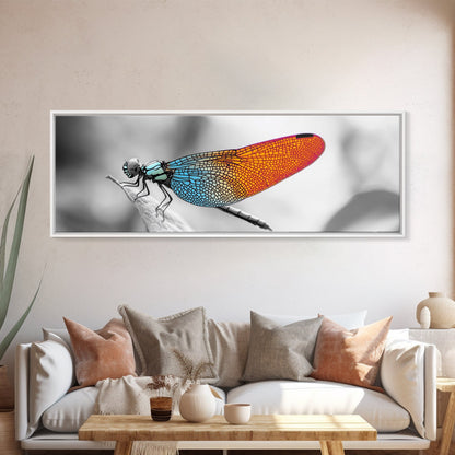 Closeup Dragonfly, Colorful Wings, Abstract Nature, Macro Art — Framed Canvas Print, Living Room Decor, Botanical Wall Art, Modern Minimal