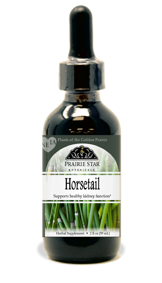 Horsetail
