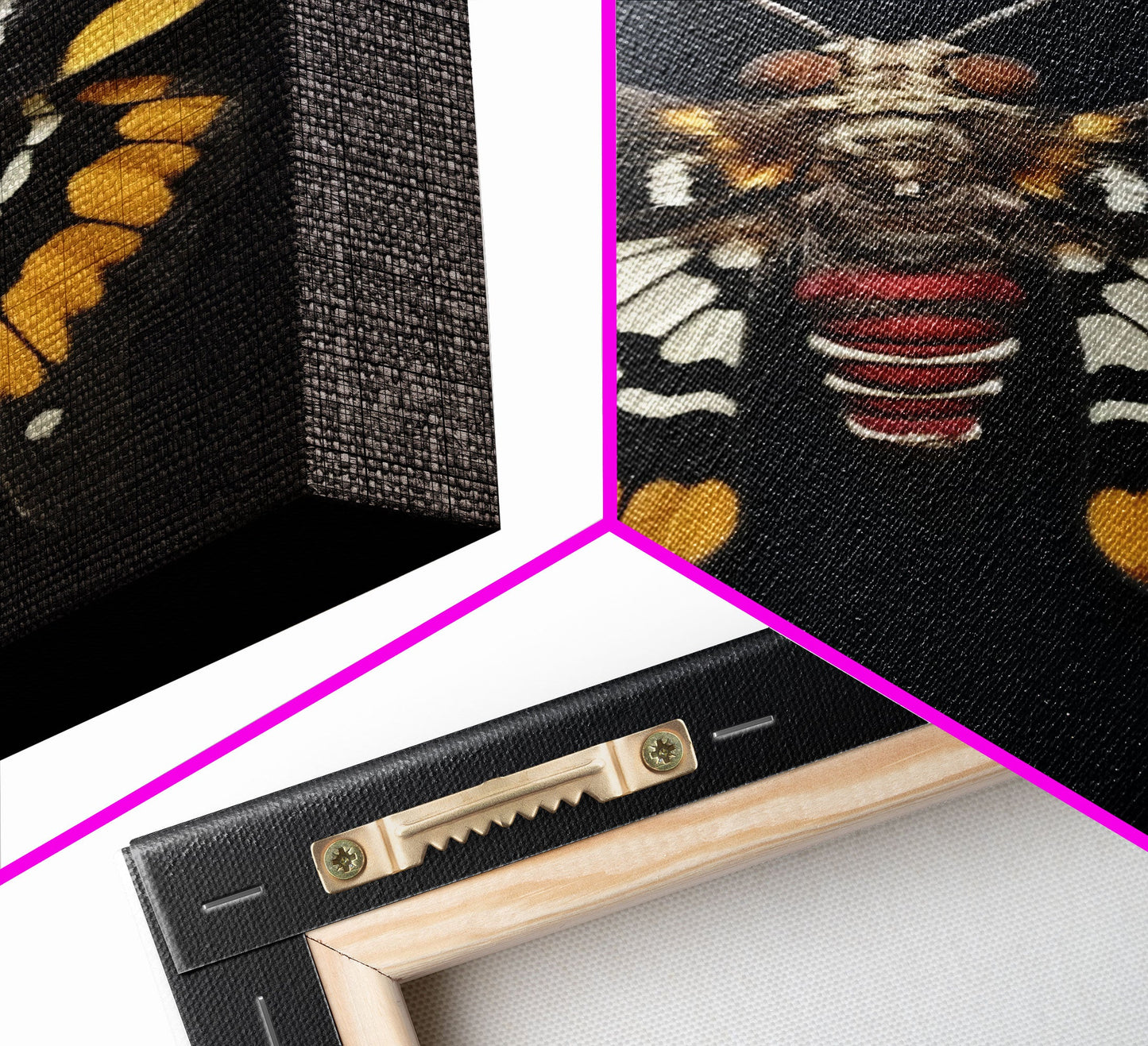 Framed Death Head Moth Canvas Print, Acherontia, Taxidermy Art, Dried Butterfly Print, Bug Wall Art Hanging Decor, Goth Art, Halloween Art