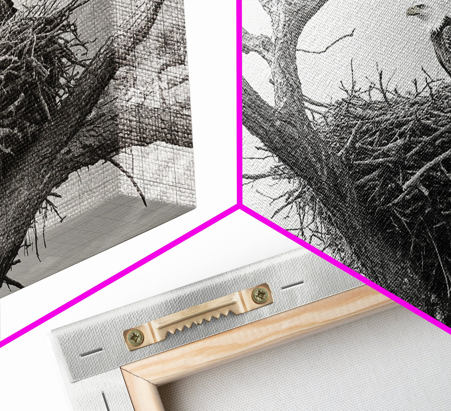 Bald Eagle Nest, Wildlife Nature Art, Rustic Cabin Decor, Framed Canvas Print, Patriotic Office Wall Art, Woodland Photography