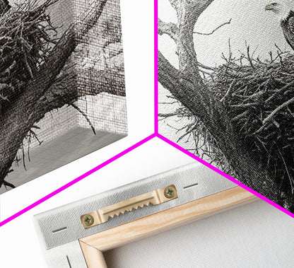 Bald Eagle Nest, Wildlife Nature Art, Rustic Cabin Decor, Framed Canvas Print, Patriotic Office Wall Art, Woodland Photography