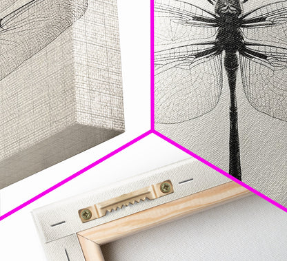 Dragonfly Sketch, Insect Art Print, Botanical Illustration, Minimalist Natural History, Framed Canvas Print, Office or Study Wall Art