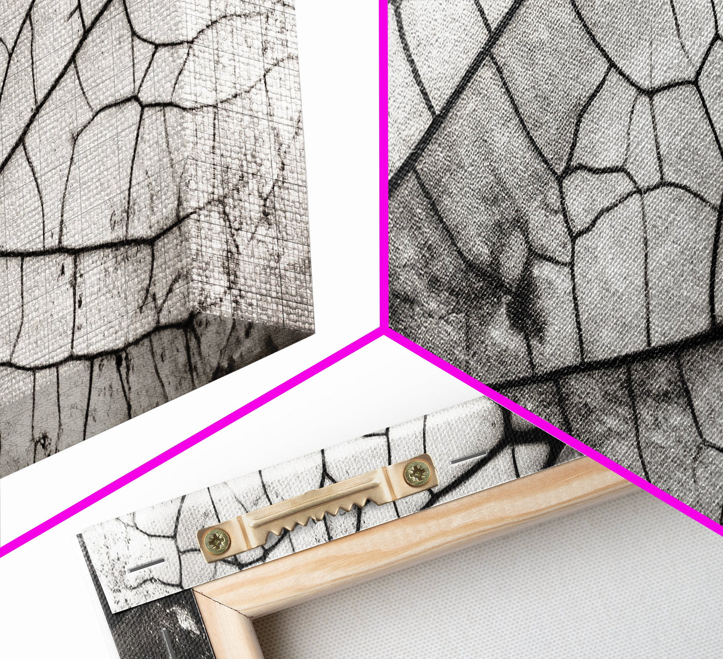 Macro Insect Wing, Abstract Nature Texture, Modern Neutral Wall Decor, Framed Canvas Print, Office Art, Monochrome Macro Photography