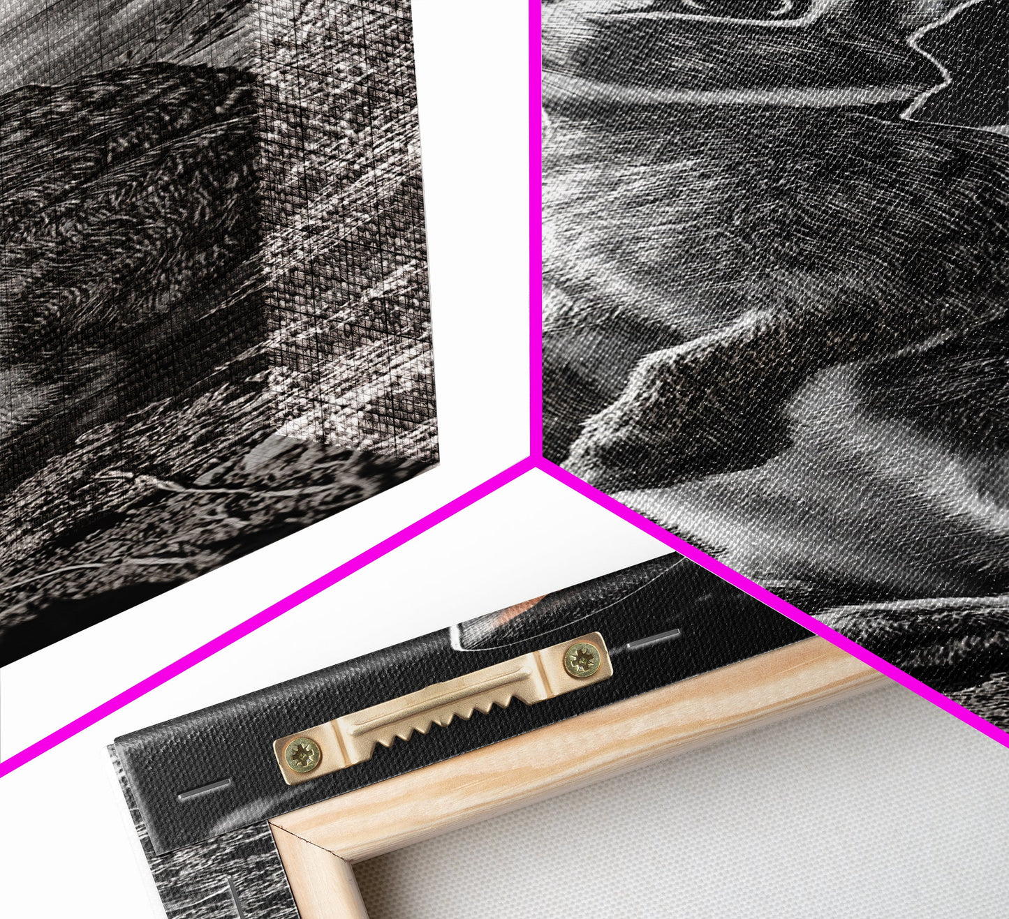 Wild Rabbit, Sunset Ears, Desert Animal, Wildlife Close-Up, Framed Canvas Print, Boho Animal Decor, Living Room Accent, Nature Wall Art