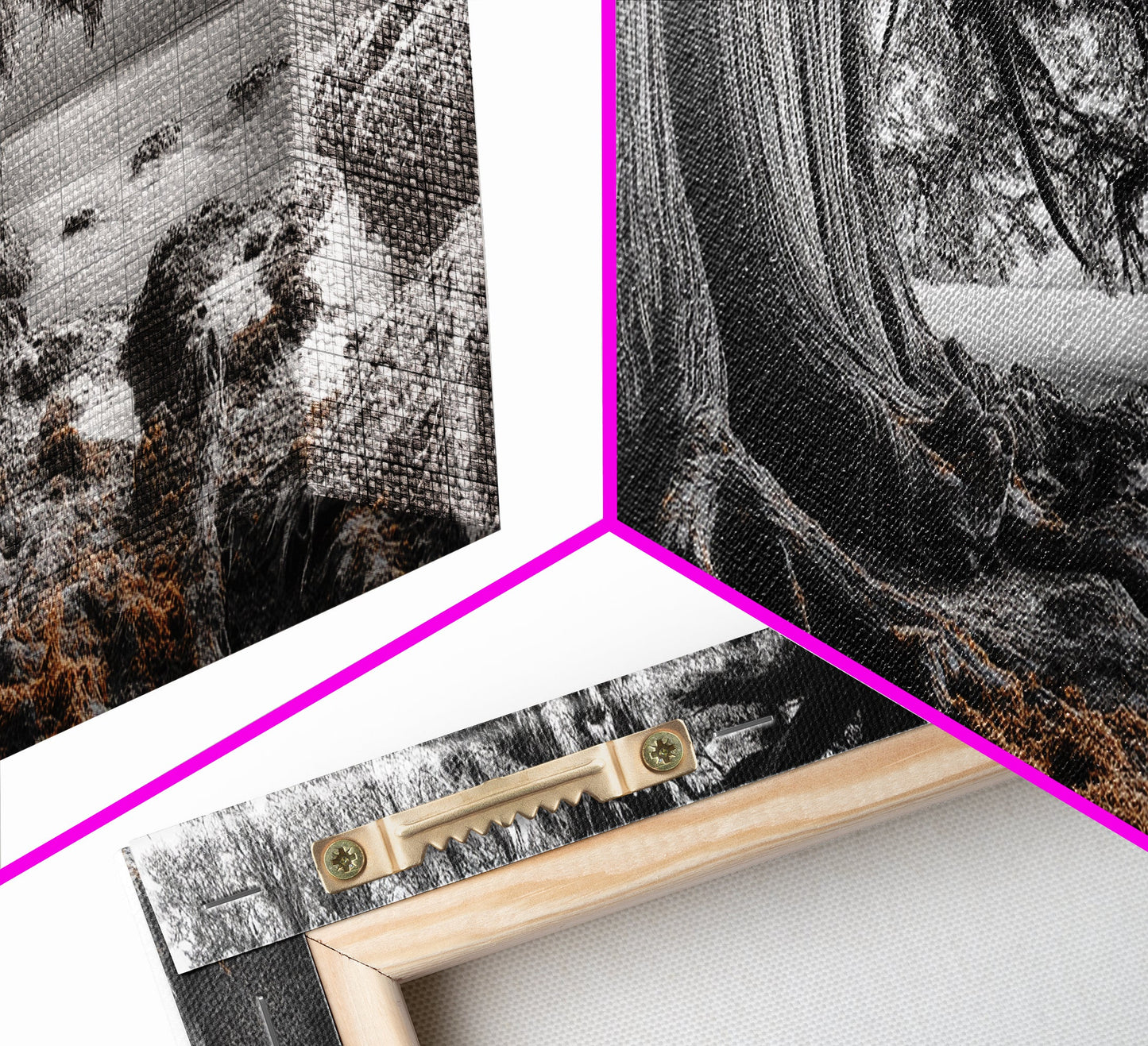 Ancient Tree, Forest Roots, Coastal Woods, Mystical Scene, Framed Canvas Print, Nature Wall Art, Woodland Decor, Moody Living Room Art