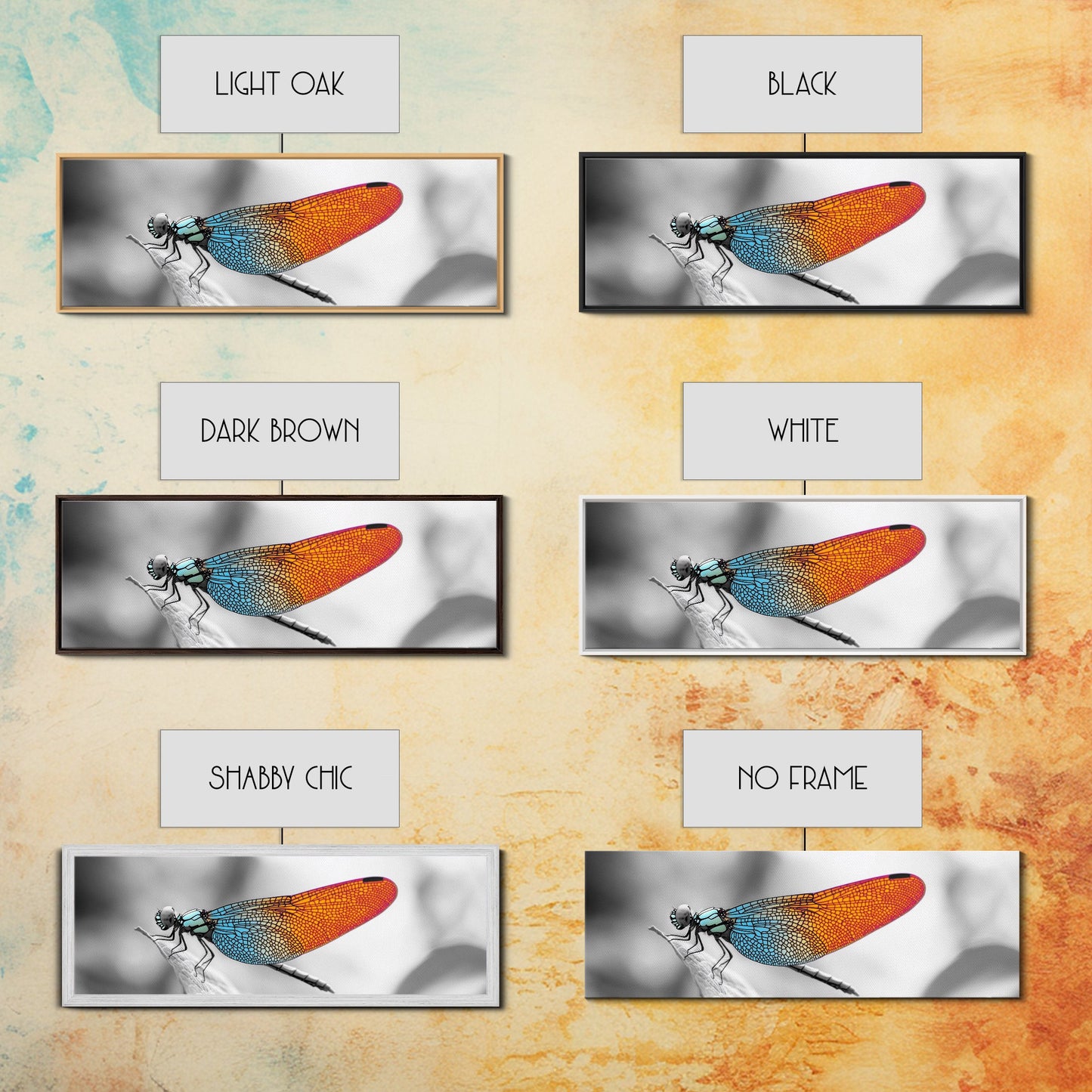 Closeup Dragonfly, Colorful Wings, Abstract Nature, Macro Art — Framed Canvas Print, Living Room Decor, Botanical Wall Art, Modern Minimal