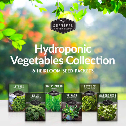 Hydroponic Vegetable Seeds Kit – 6 Heirloom Leafy Greens for Aerogardens, Towers & Indoor Year-Round Growing