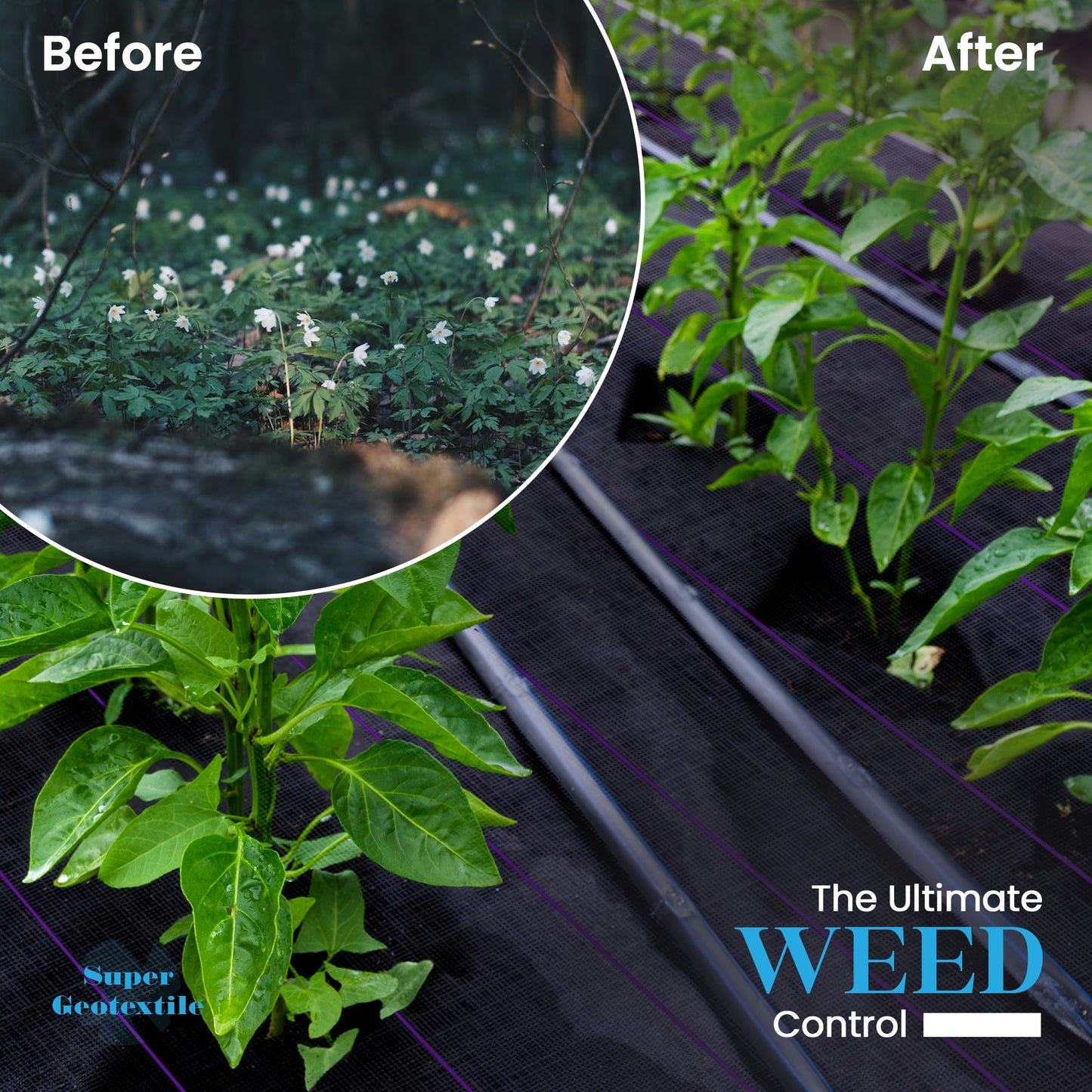 Pro Grade 5oz Weed Barrier - Heavy Duty Landscape Fabric - Weed Block - 25 Year Fabric