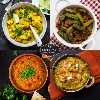 Indian Vegetable Seed Collection – 10 Heirloom Non-GMO Seeds for Authentic Indian Cuisine and Home Gardens