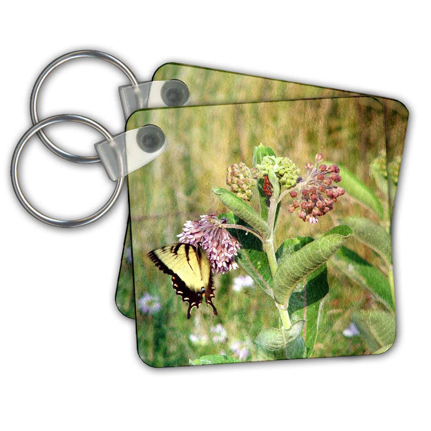 3dRose Key Chains Butterfly and Milkweed by Angelandspot (kc-192933-1)