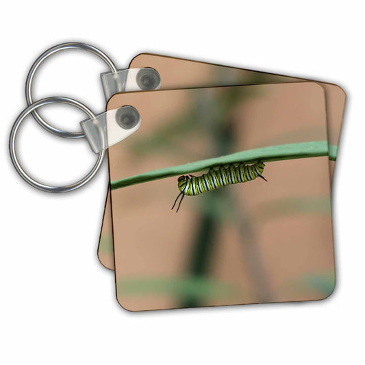 3dRose Key Chains Photograph of a monarch caterpillar chowing down on a milkweed plant. (kc-295261-1)