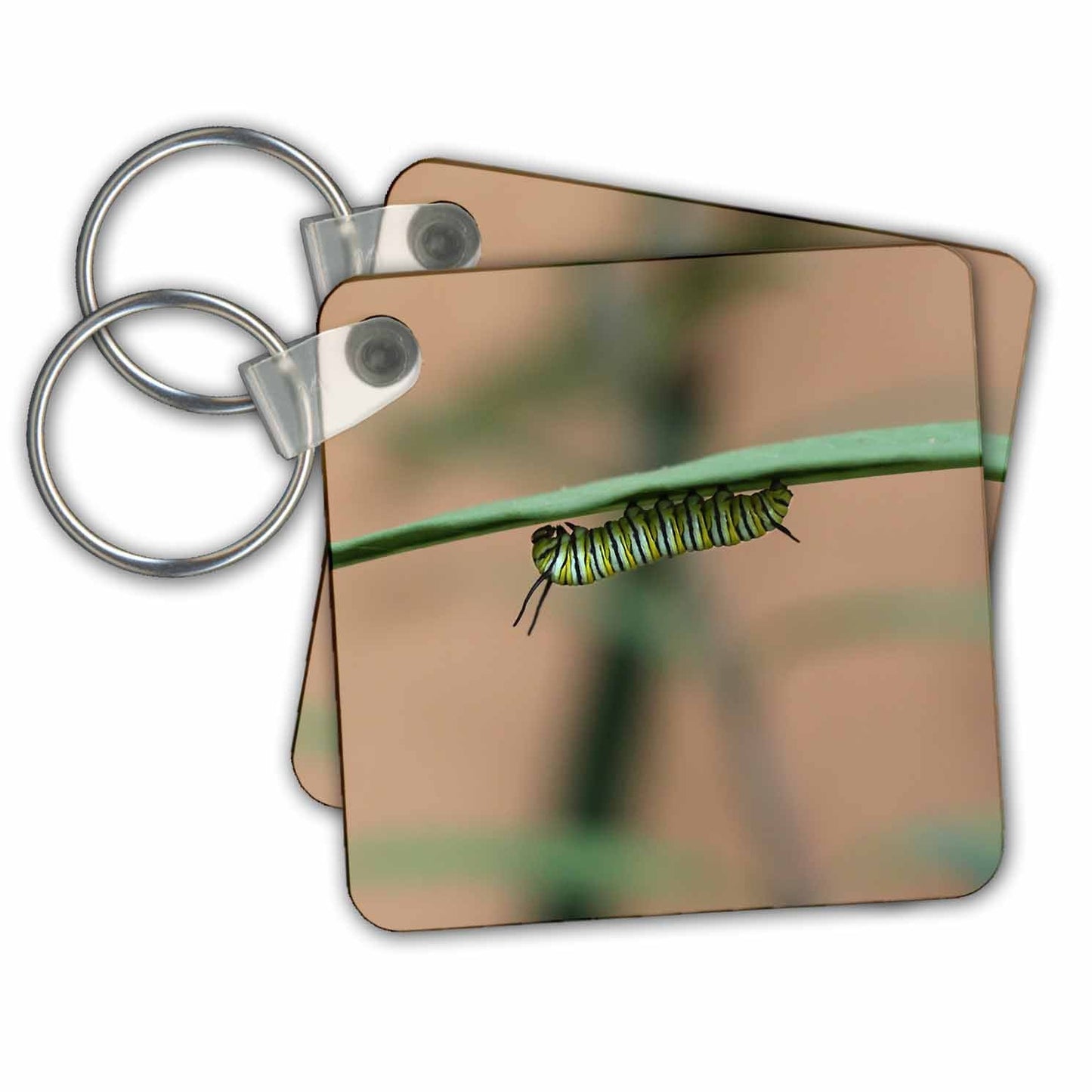 3dRose Key Chains Photograph of a monarch caterpillar chowing down on a milkweed plant. (kc-295261-1)