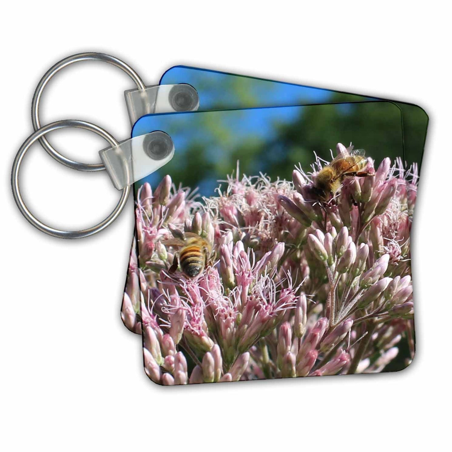 3dRose Key Chains Honey Bees on Swamp Milkweed (kc-326239-1)