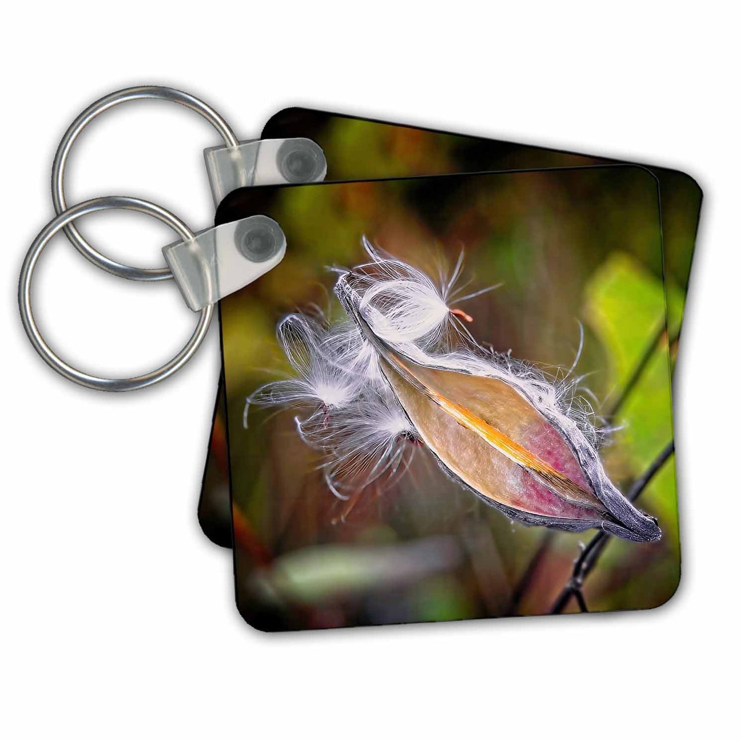 3dRose Key Chains Milkweed in Autumn (kc-361539-1)