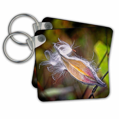 3dRose Key Chains Milkweed in Autumn (kc-361539-1)
