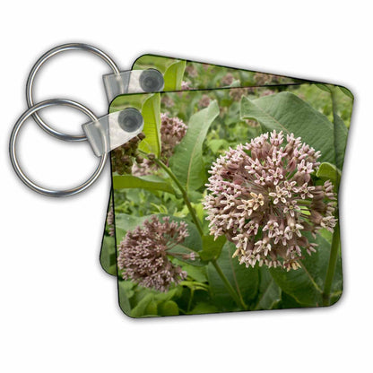 3dRose Key Chains Minnesota, Eagan, Jenson Lake Park, milkweed flora - US24 RSP0011 - Rob Sheppard (kc-91470-1)
