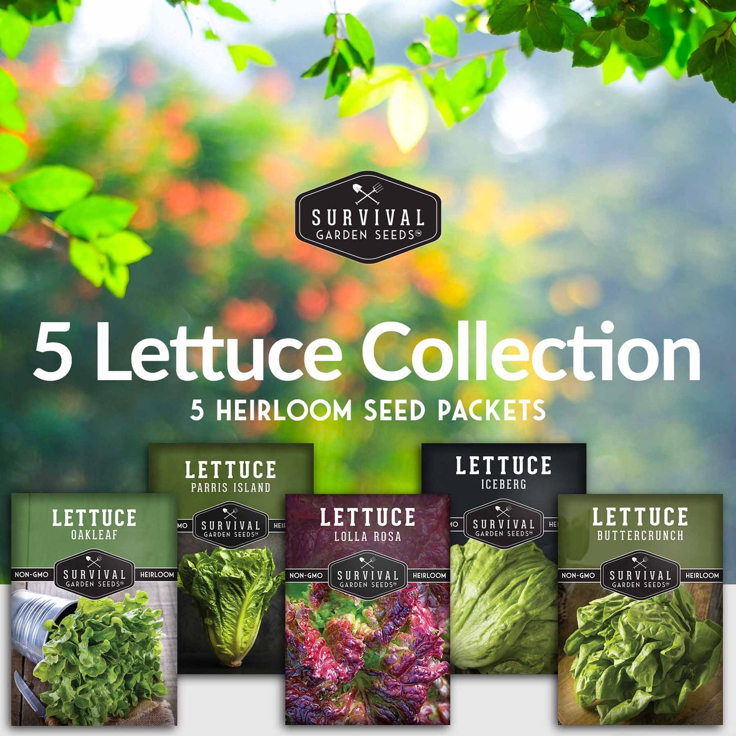 Lettuce Seed Collection – 5 Heirloom Varieties for Year-Round Harvest | Buttercrunch, Oakleaf, Lolla Rosa, Iceberg & Parris Island
