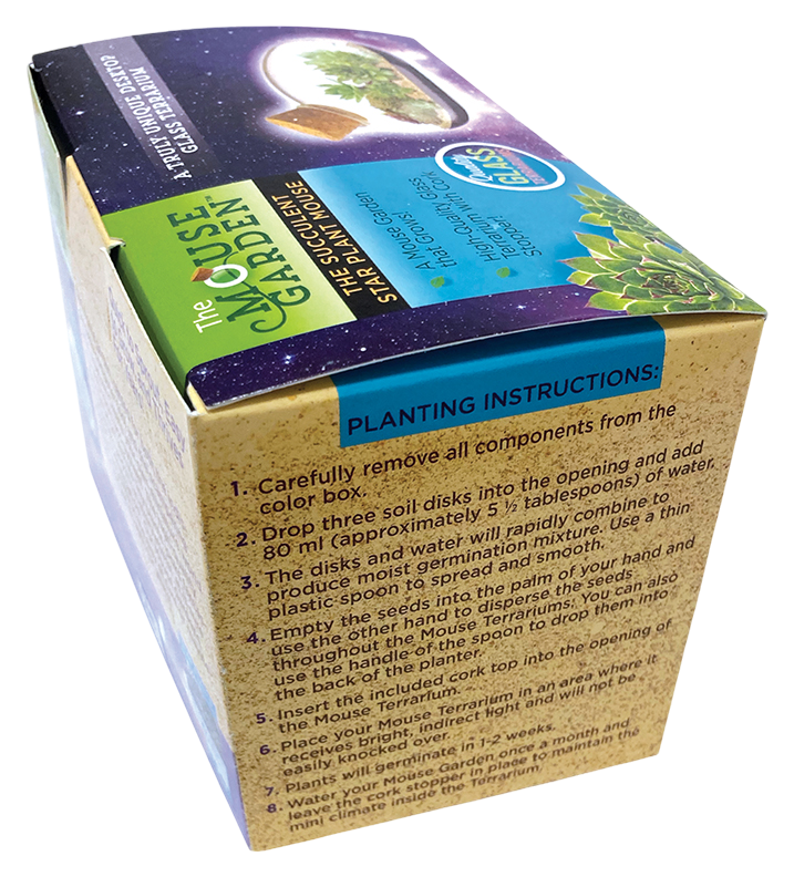 The Succulent Star Mouse Garden Glass Terrarium with Cork