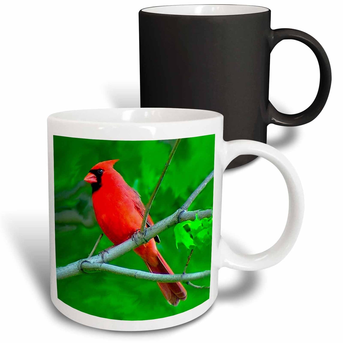 3dRose Birds - Red Cardinal - Mugs (mug_3121)
