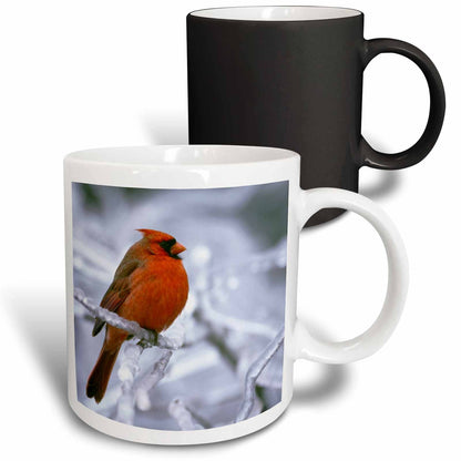 3dRose Quebec. Male northern cardinal bird, ice storm-CN10 BJA0019 - Janyes... - Mugs (mug_70449)