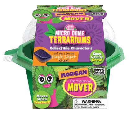 Morgan 'The Mysterious' Mover Micro Dome Terrarium