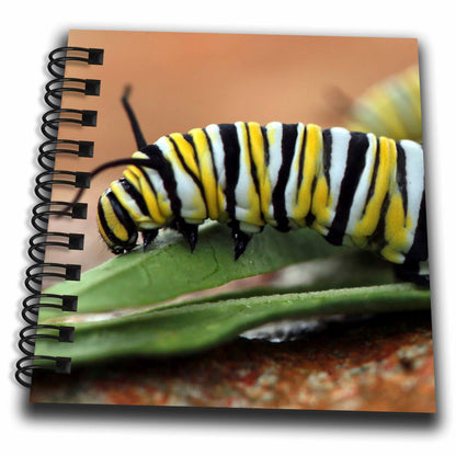 3dRose Stamp City - insects - Macro photograph of a monarch caterpillar munching on milkweed. - Drawing Books (db_325105)