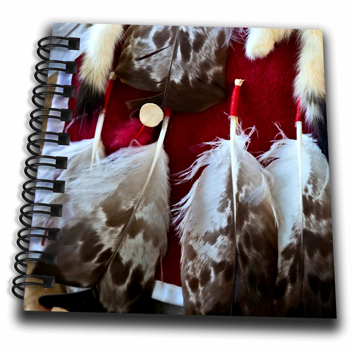 3dRose Image of Bird Feathers Attached to a Native American Dress - Drawing Books (db_325873)