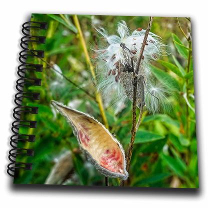 3dRose Boehm Photography Plant - Milkweed Plant and Seed Pods - Drawing Books (db_357283)