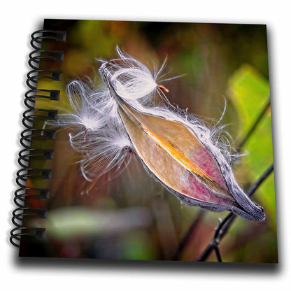 3dRose Boehm Photography Plant - Milkweed in Autumn - Drawing Books (db-361539)