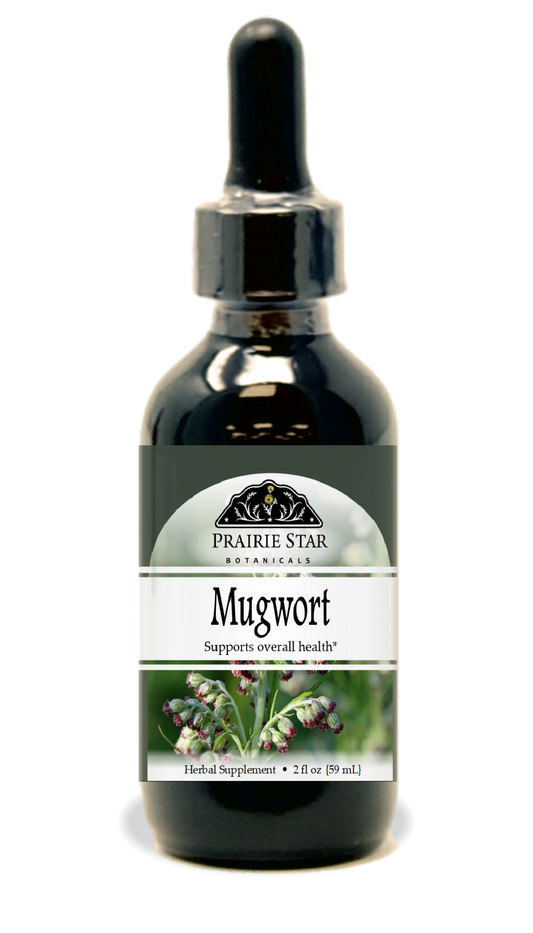 Mugwort
