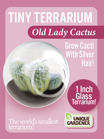 Flowering Cacti Tiny Terrariums Bundle - 2 each of 3 Varieties