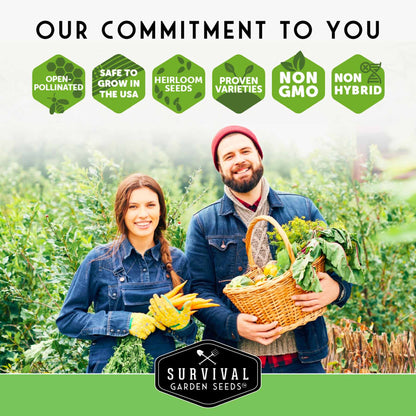 20 Variety Apartment Kit Seed Vault – Non-GMO Heirloom Seeds for Hydroponic & Indoor Small-Space Gardening