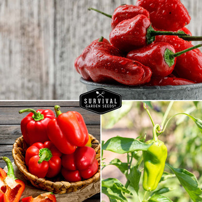 Sweet Pepper Collection - California Wonder Bell, Marconi Red, Cubanelle, Chocolate Beauty, and Big Red Peppers
