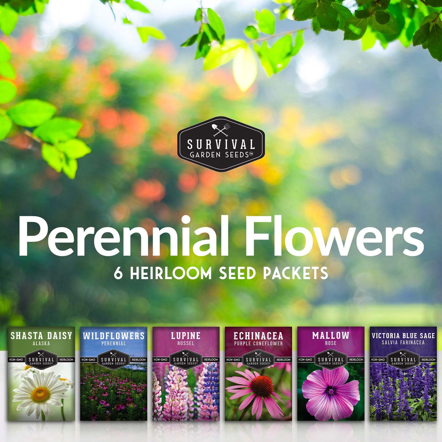 Perennial Flower Seed Collection – Non-GMO Heirloom Blooms for Pollinator Gardens, Borders & Year-Round Color