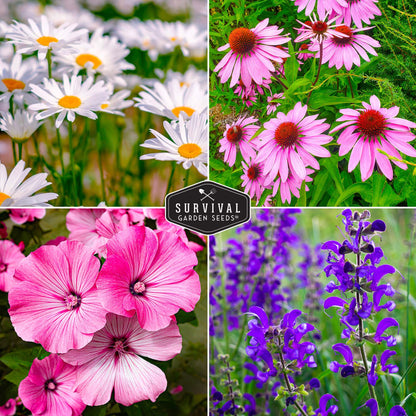 Perennial Flower Seed Collection – Non-GMO Heirloom Blooms for Pollinator Gardens, Borders & Year-Round Color