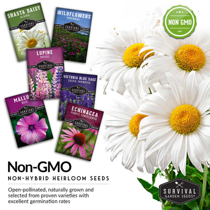 Perennial Flower Seed Collection – Non-GMO Heirloom Blooms for Pollinator Gardens, Borders & Year-Round Color