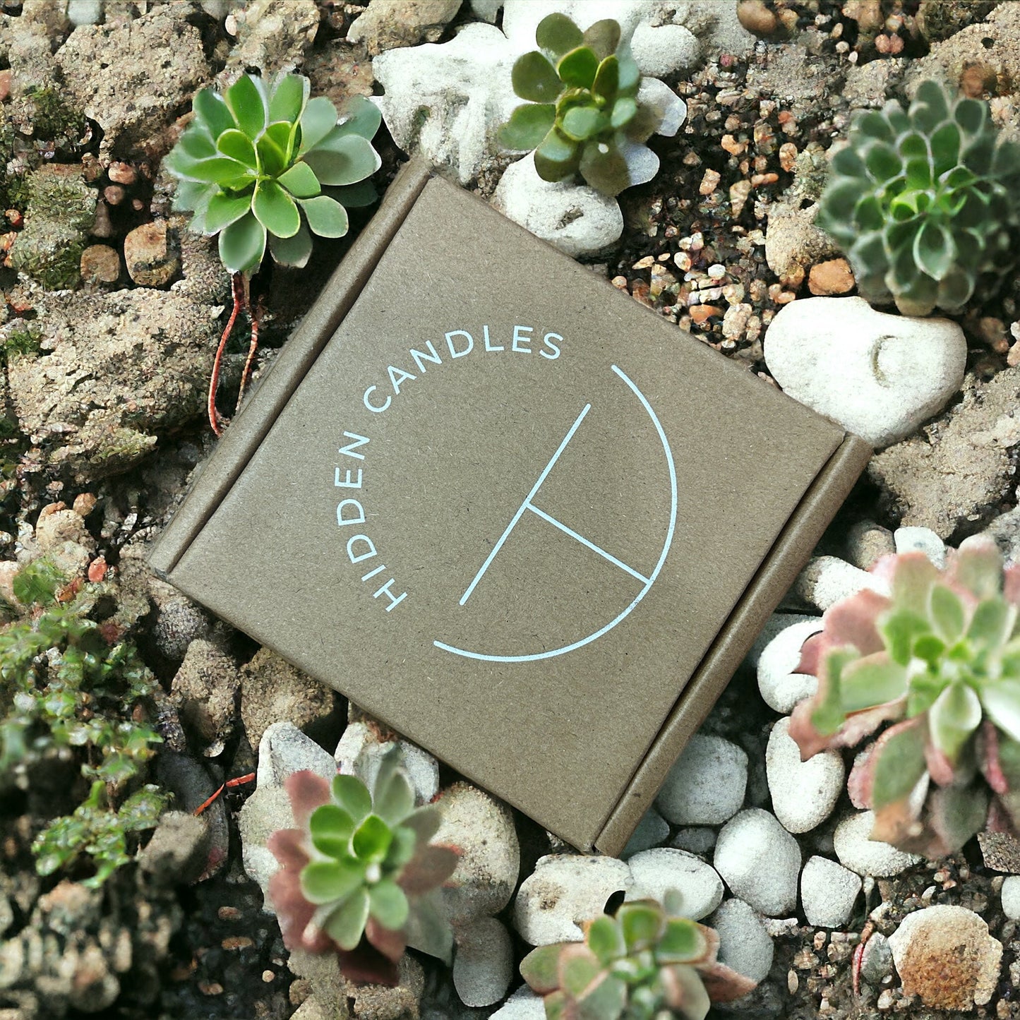 Vineyard Estate Candle 10.6 oz – Cranberry, Wine Spice & Vanilla Sugar