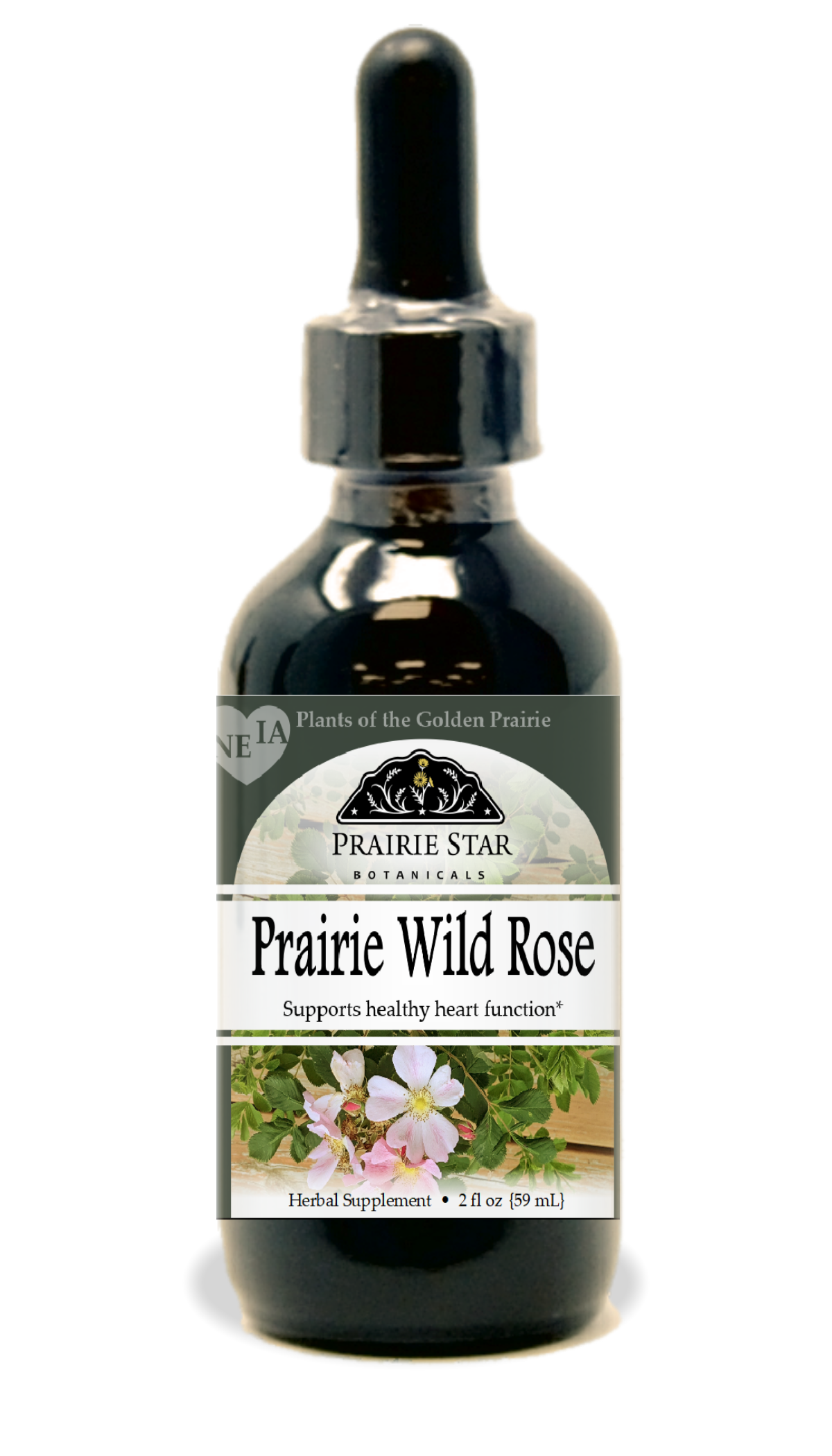 Prairie Wild Rose – EastMichNatives Nature Store